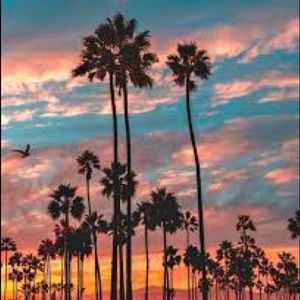 Meet your Posher, Diana